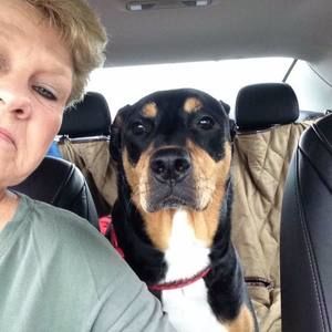 Meet your Posher, Rose